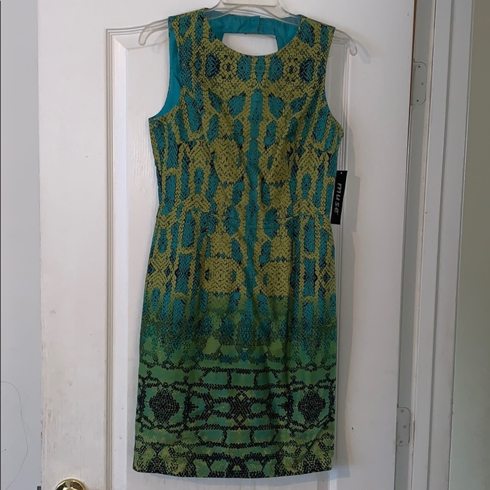 Brand new muse dress. New with tags. Never worn